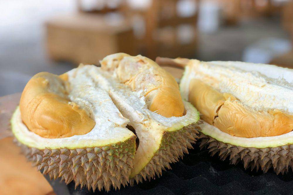 Ilustrasi buah durian (unsplash.com/Jim Teo)