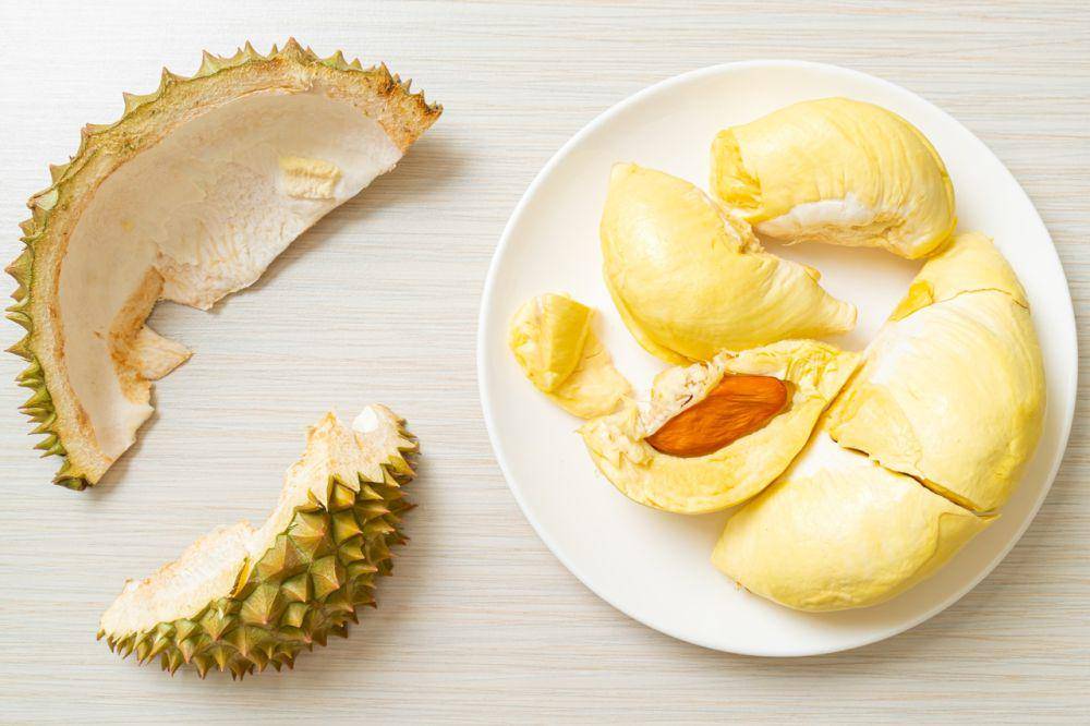 Ilustrasi sepiring durian (vecteezy.com/topntp26)
