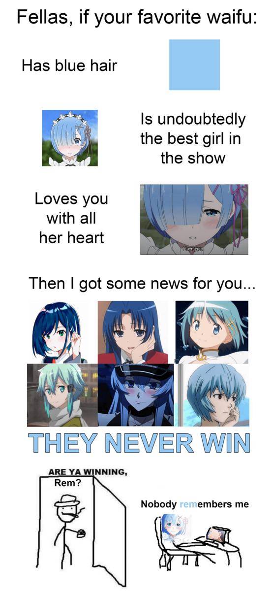 meme karakter anime rambut biru (reddit.com/user/Dragonspear999)