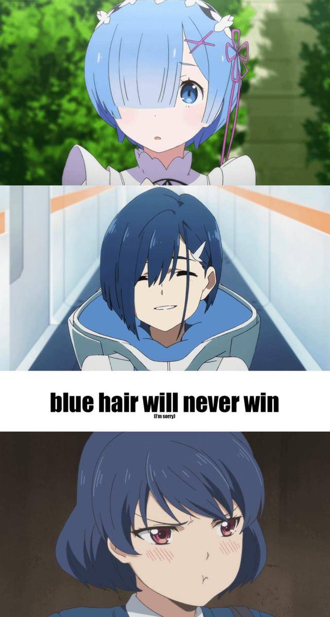 meme karakter anime rambut biru (reddit.com/user/Niko22966)