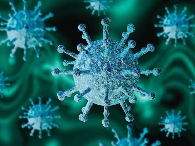 Dinkes Banjarmasin Belum Temukan Adanya Sebaran Virus HMPV