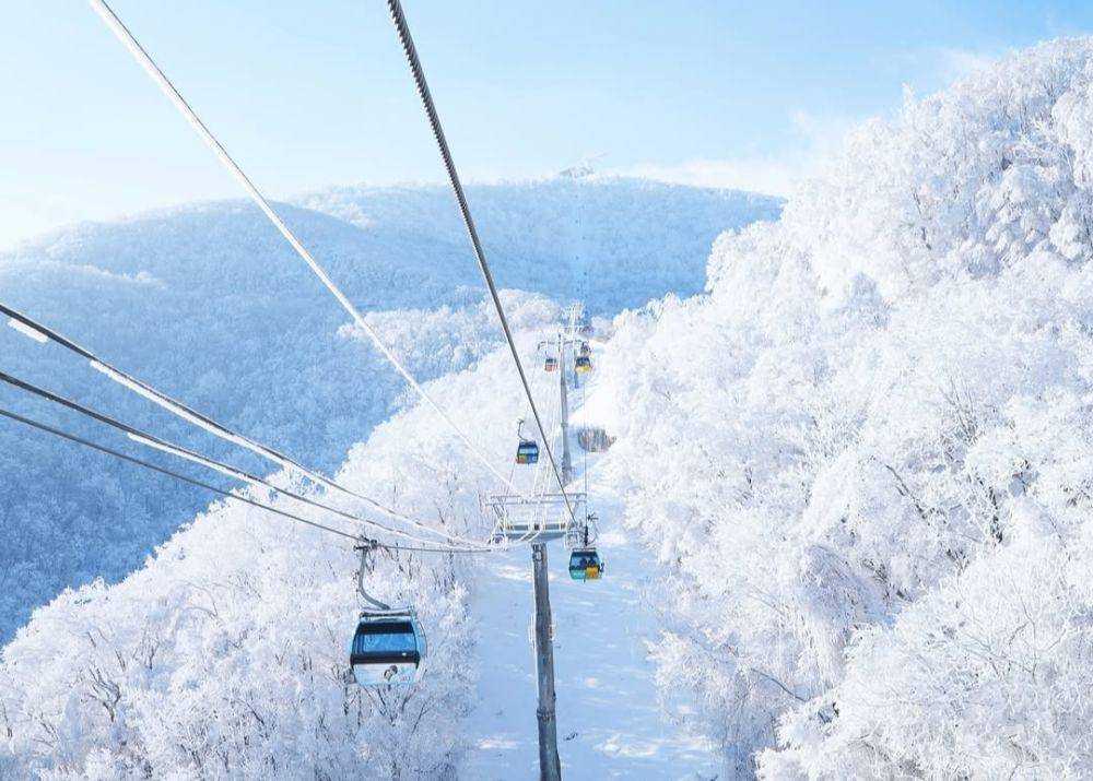 Monapark Yong Pyong Ski Resort (instagram.com/yongpyongresort_official)