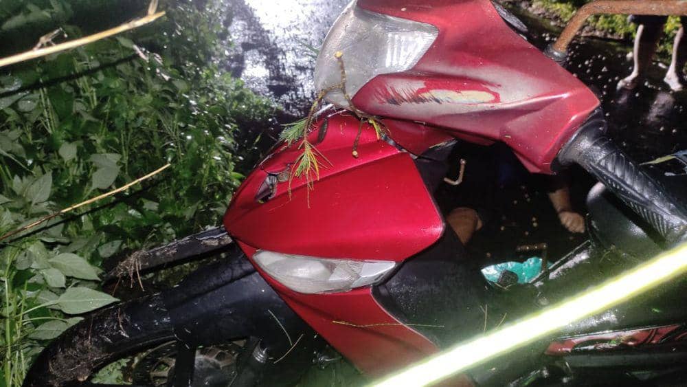 Pengendara sepeda motor meninggal usai tabrak pohon Cemara udang di Pantai Pelangi Bantul.(Dok.Polres Bantul)