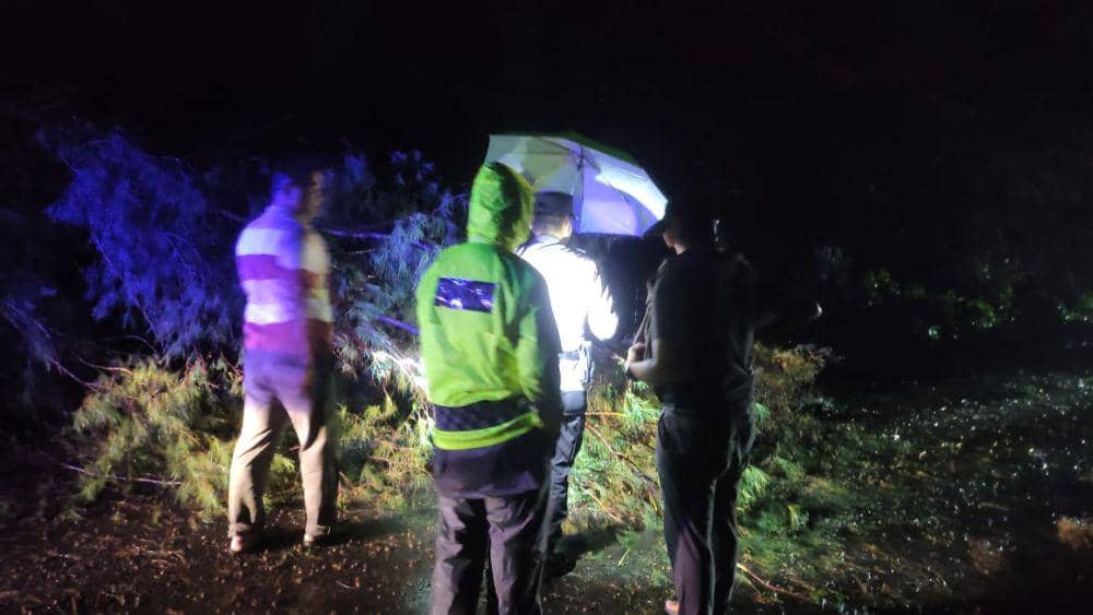 Pengendara sepeda motor meninggal usai tabrak pohon Cemara udang di Pantai Pelangi Bantul.(Dok.Polres Bantul)