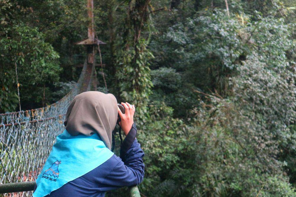 Potret kawasan Gunung Halimun Salak (unsplash.com/aivatko31)