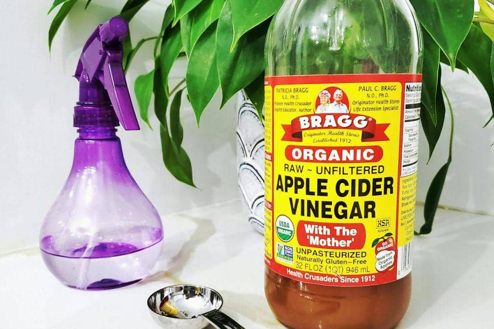Botol cuka apel organik Bragg di atas meja bersama semprotan ungu dan sendok takar di dekat tanaman hias hijau.
