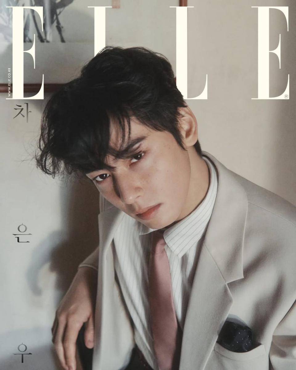 potret Cha Eun Woo (instagram.com/ellekorea)
