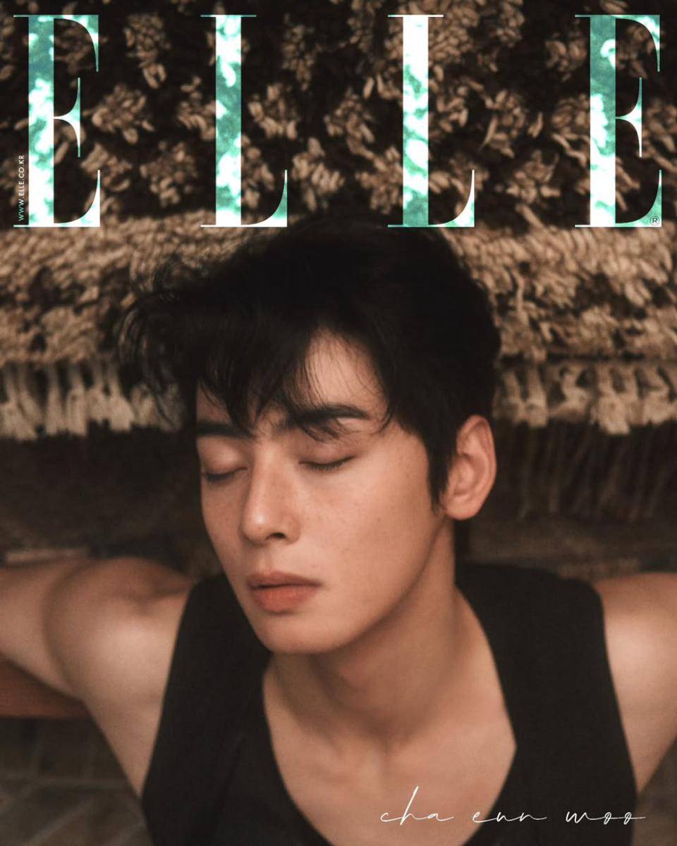 potret Cha Eun Woo (instagram.com/ellekorea)
