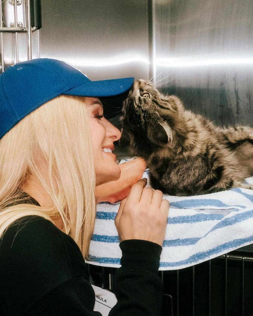 momen Paris Hilton jadi relawan korban kebakaran Los Angeles (instagram.com/parishilton)
