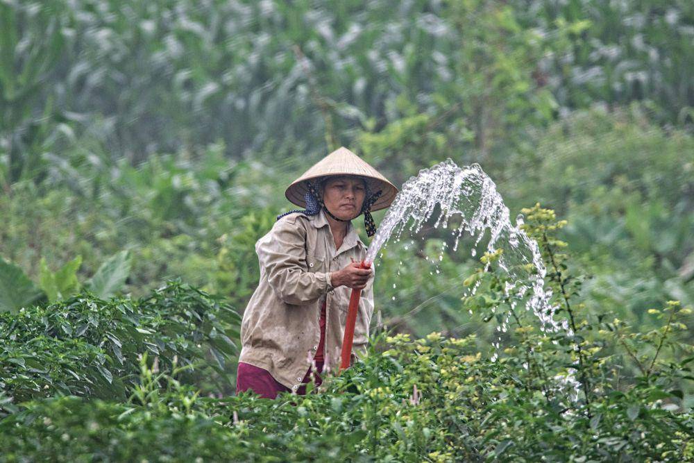 ilustrasi petani (unsplash.com/Steve Douglas)