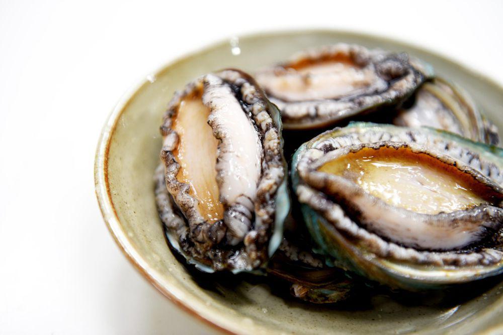 5 Tips Membeli Abalone yang Masih Segar dan Aman Dikonsumsi
