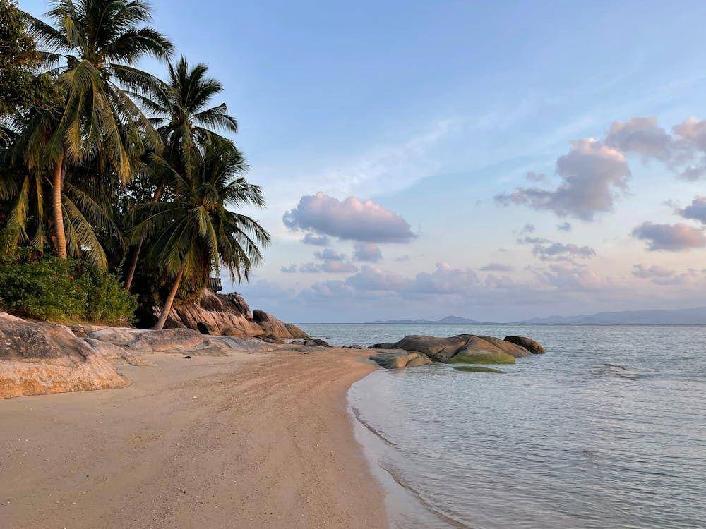 ilustrasi Koh Samui (pexels.com/Anna Zviahina 🇺🇦)