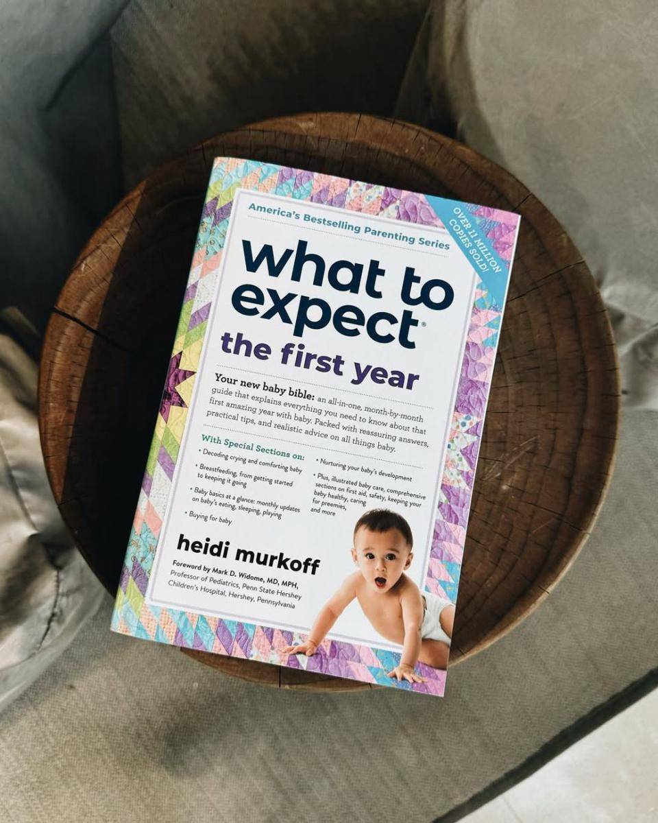Buku What to Expect the First Year (Instagram.com/nikitawillyofficial94)