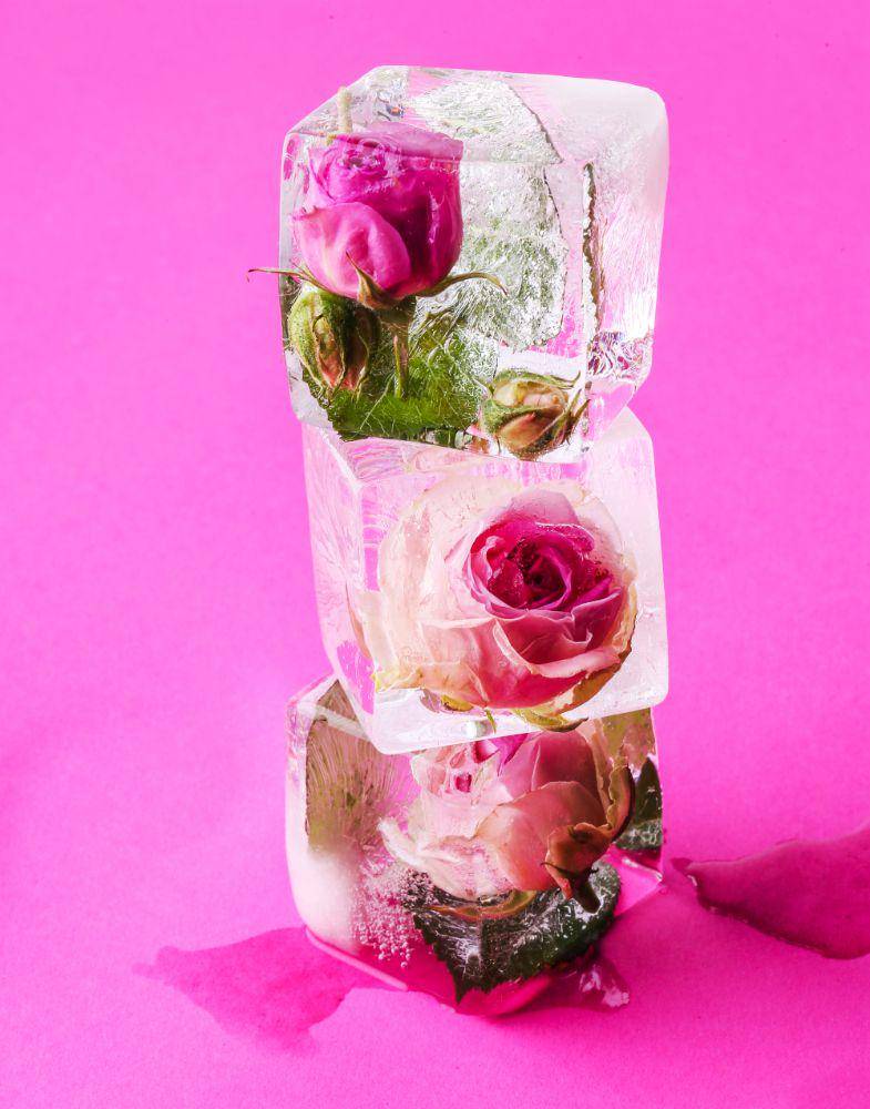 fancy ice (freepik.com/Racool_studio)