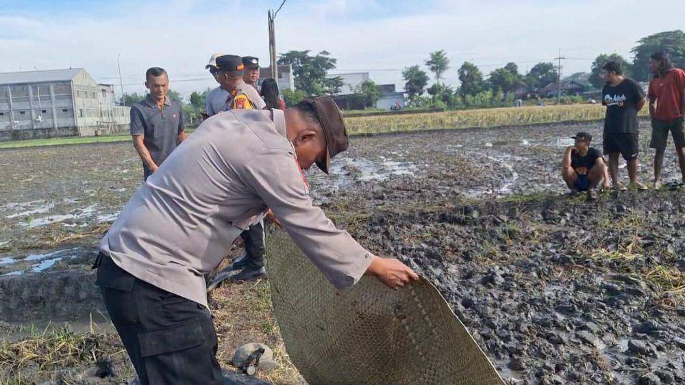 Pencari Belut di Ngawi Tewas Tersengat Listrik Jebakan Tikus