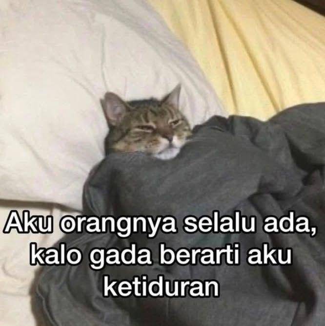 Meme tidur (instagram.com/mangucupdate)