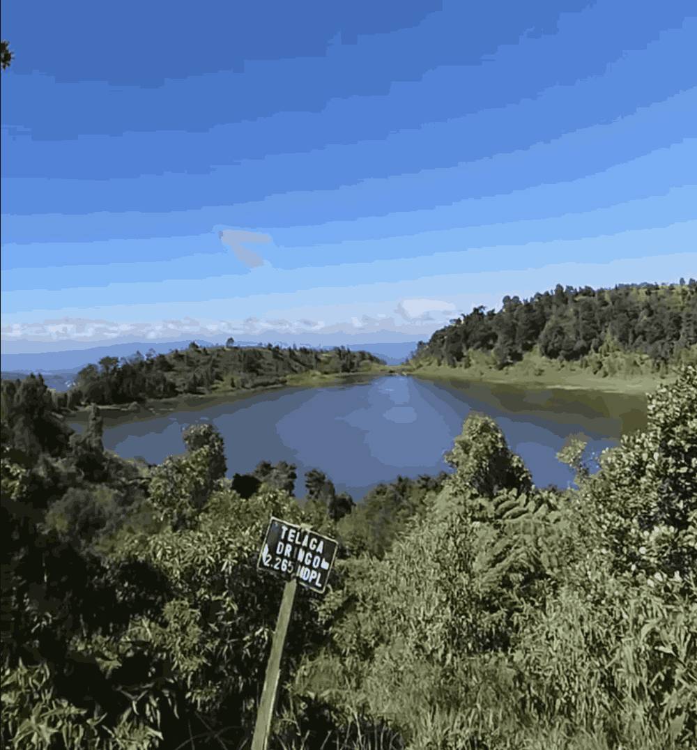Telaga Dringo Dieng (https://www.instagram.com/telaga_dringo/)