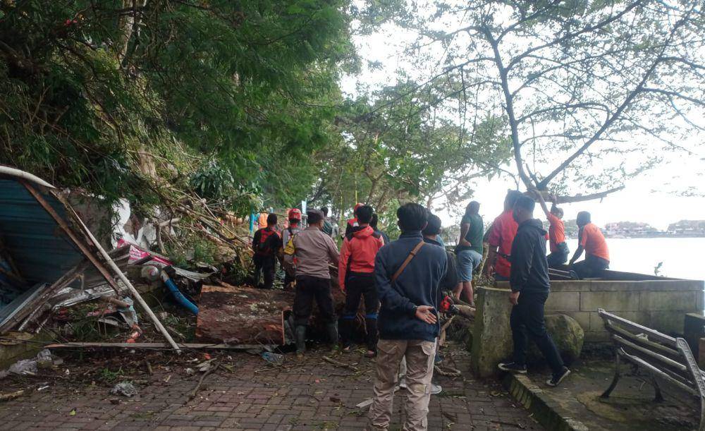 Pohon eucalyptus berukuran besar tumbang timpa 3 kios di telaga Sarangan. IDN Times/ Riyanto.