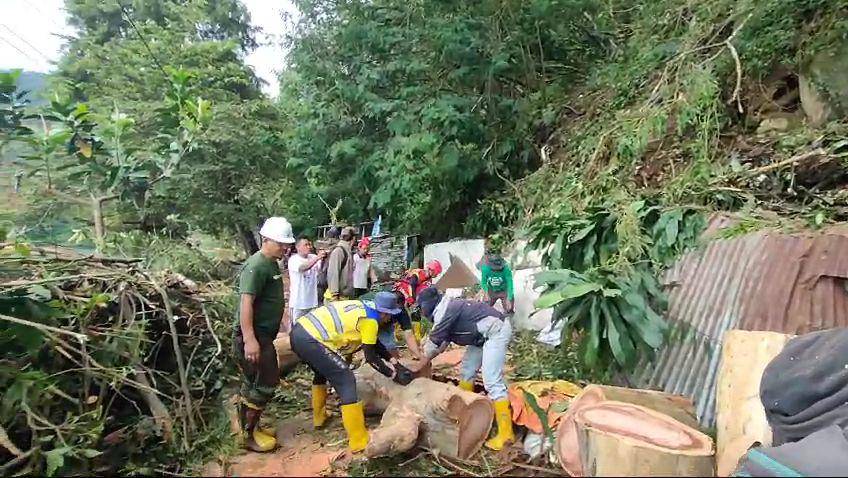 Pohon eucalyptus berukuran besar tumbang timpa 3 kios di telaga Sarangan. IDN Times/ Riyanto.
