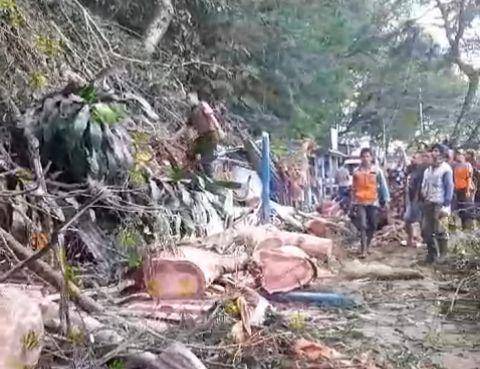 Pohon eucalyptus berukuran besar tumbang timpa 3 kios di telaga Sarangan. IDN Times/ Riyanto.
