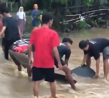 Viral! Aspal Jalan di Ngawi Terkelupas Diterjang Banjir