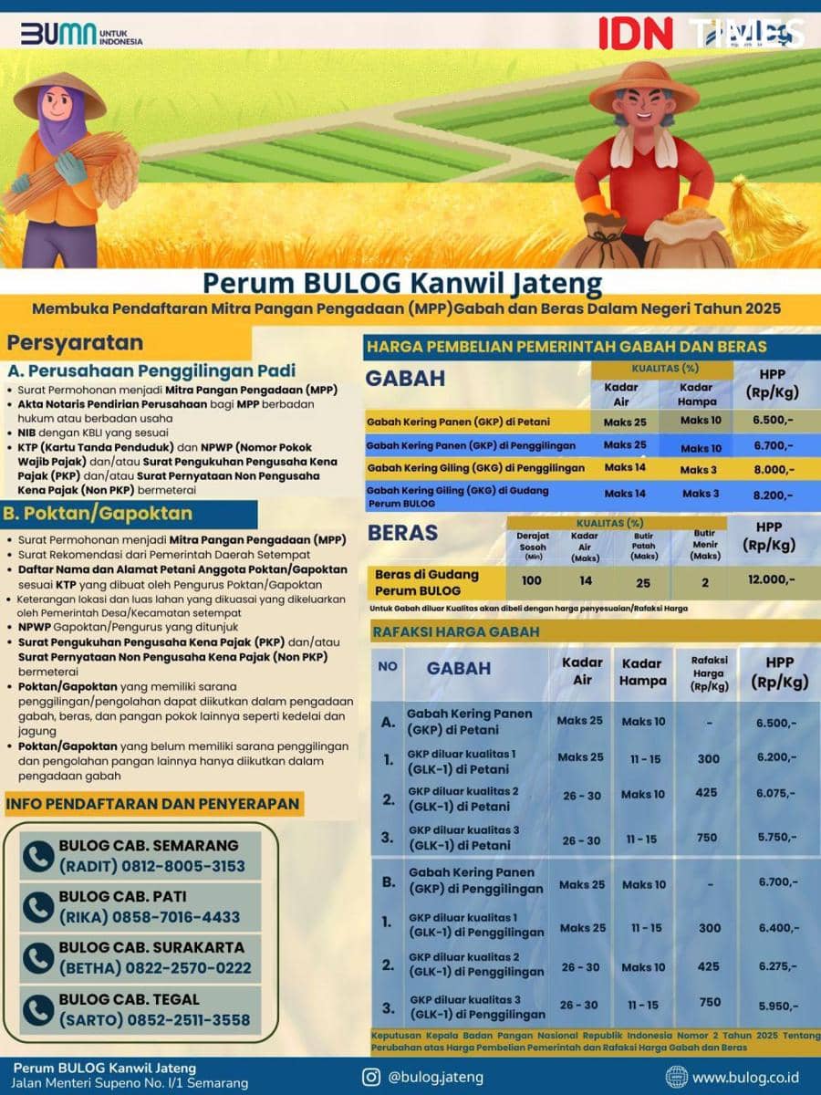 Infografis patokan HPP gabah dan beras sesuai acuan Rapeksi Bulog. (IDN Times/Fariz Fardianto)