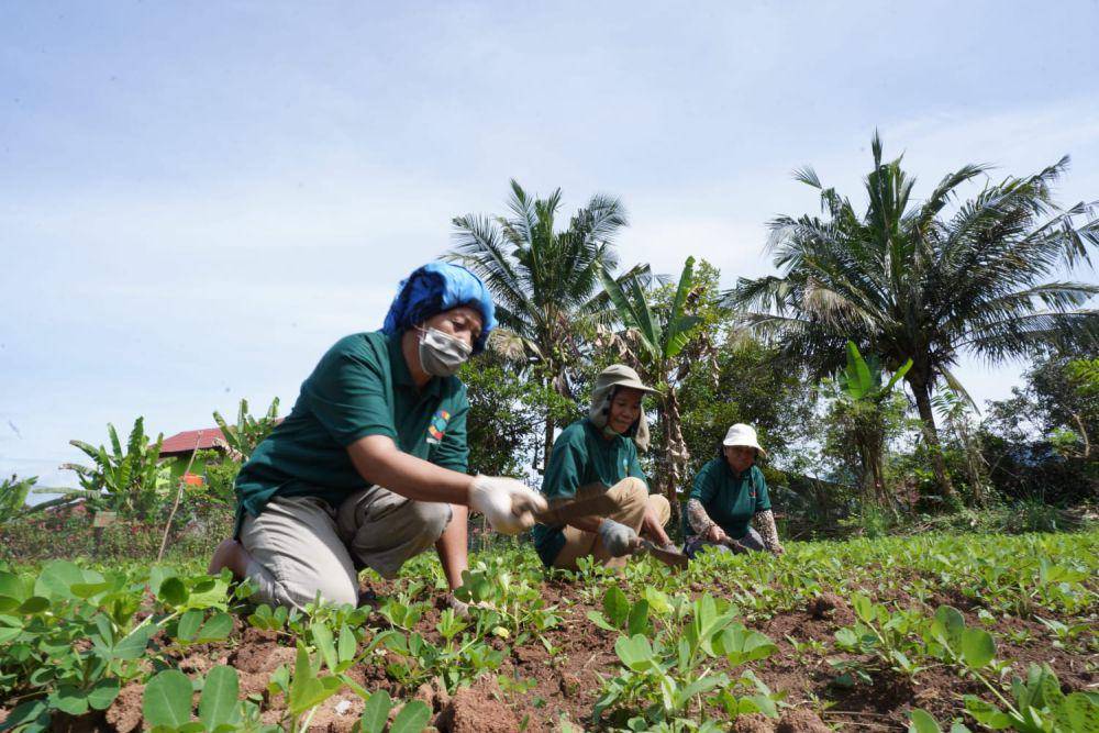 Program kemandirian masyarakat yang dilaksanakan PT Vale Indonesia. (vale.com)