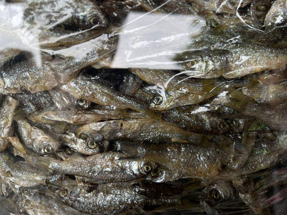 Ikan bilih yang dijual oleh masyarakat dalam kemasan (Foto: IDN Times/Halbert Caniago)