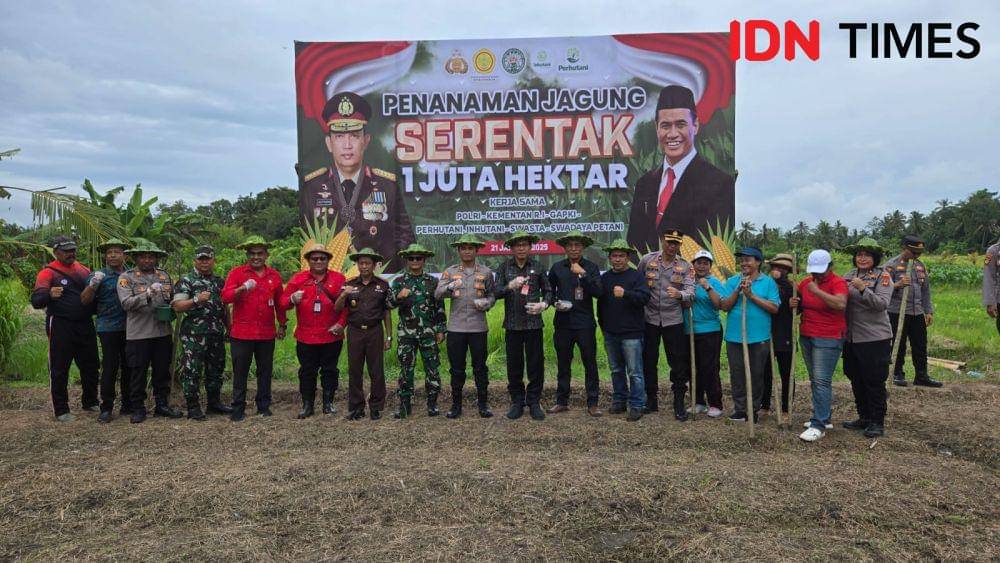 Program tanam jagung satu juta hektare di Tabanan (IDN Times/Wira Sanjiwani)