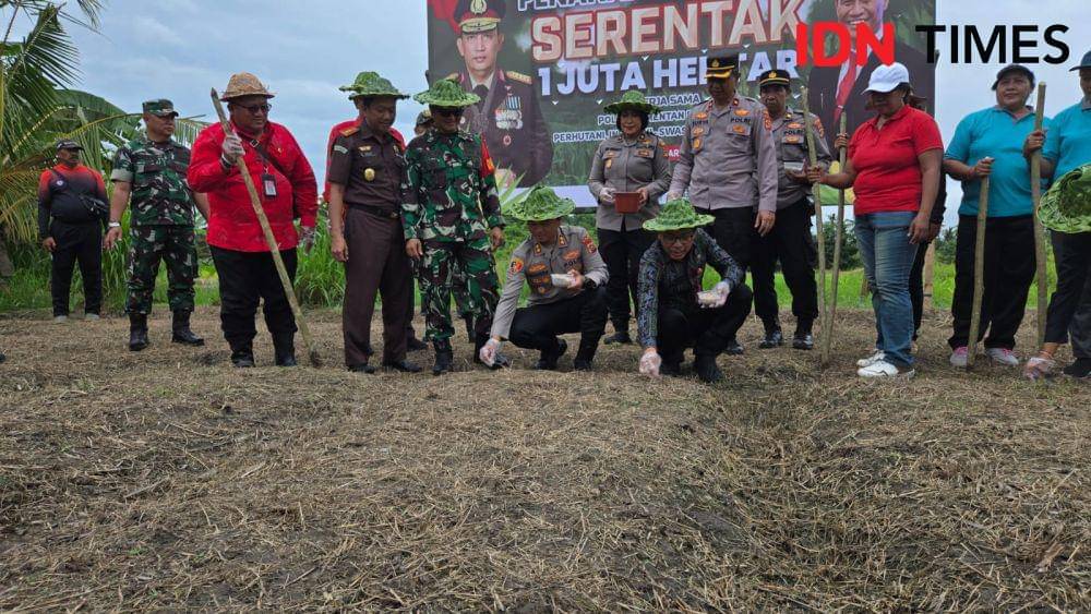 Program tanam jagung satu juta hektare di Tabanan (IDN Times/Wira Sanjiwani)