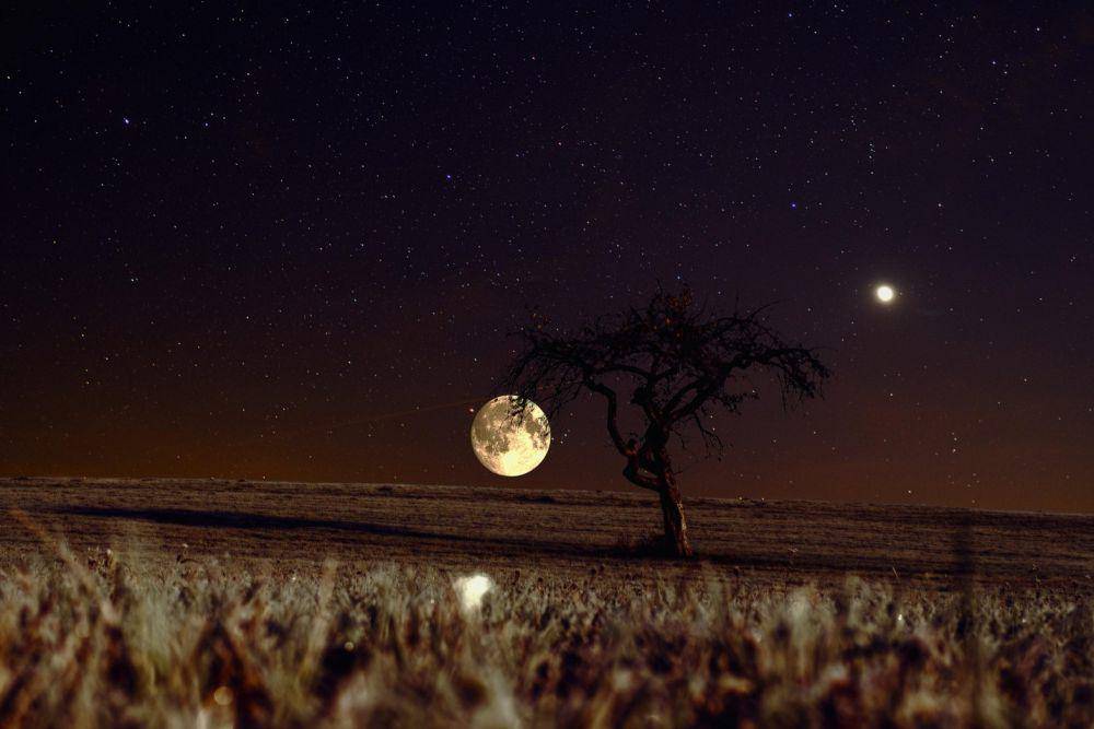 ilustrasi bulan purnama (pixabay.com/Bruno)