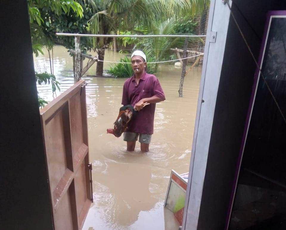 Banjir Hebat Terjang Pringsewu, 1.616 Jiwa Terdampak