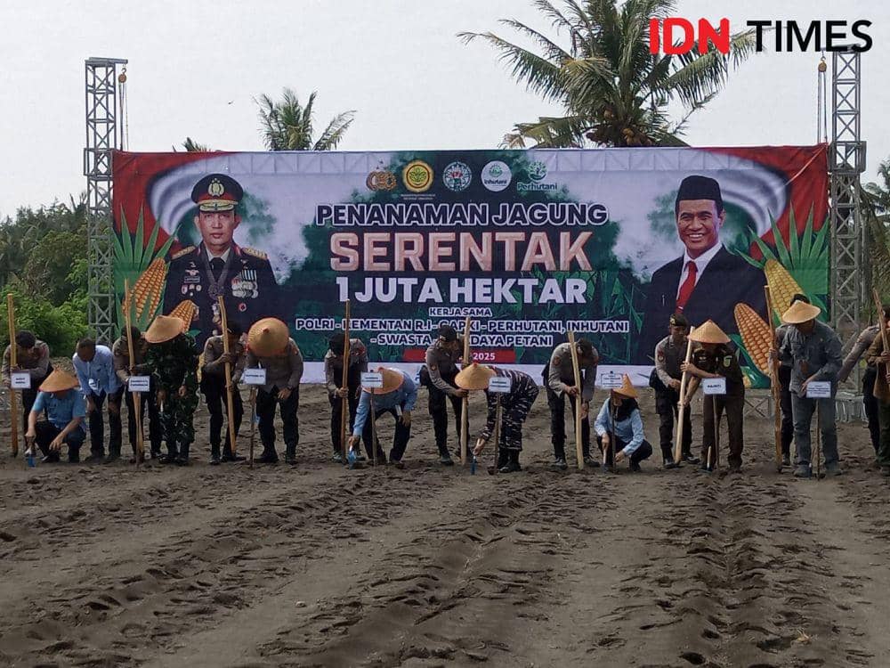Dukung Ketahanan Pangan, Polda DIY Tanam Jagung 300 Hektare