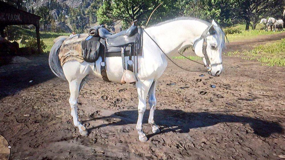 cuplikan Red Dead Redemption 2 (dok. Rockstar Games/Red Dead Redemption 2)