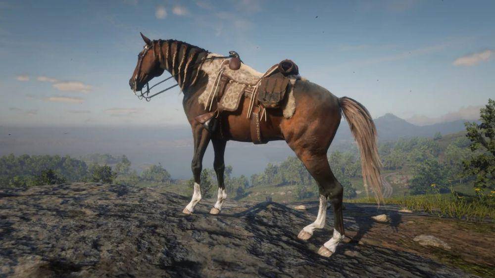 cuplikan Red Dead Redemption 2 (dok. Rockstar Games/Red Dead Redemption 2)