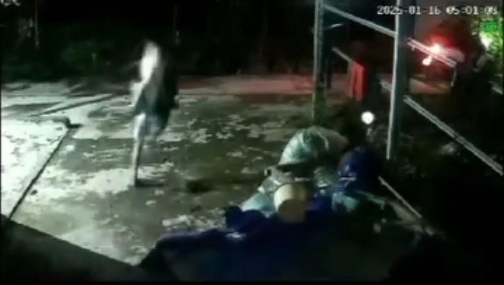 2 Pemuda Palembang Nyaris Bonyok, Terekam CCTV Maling Unggas