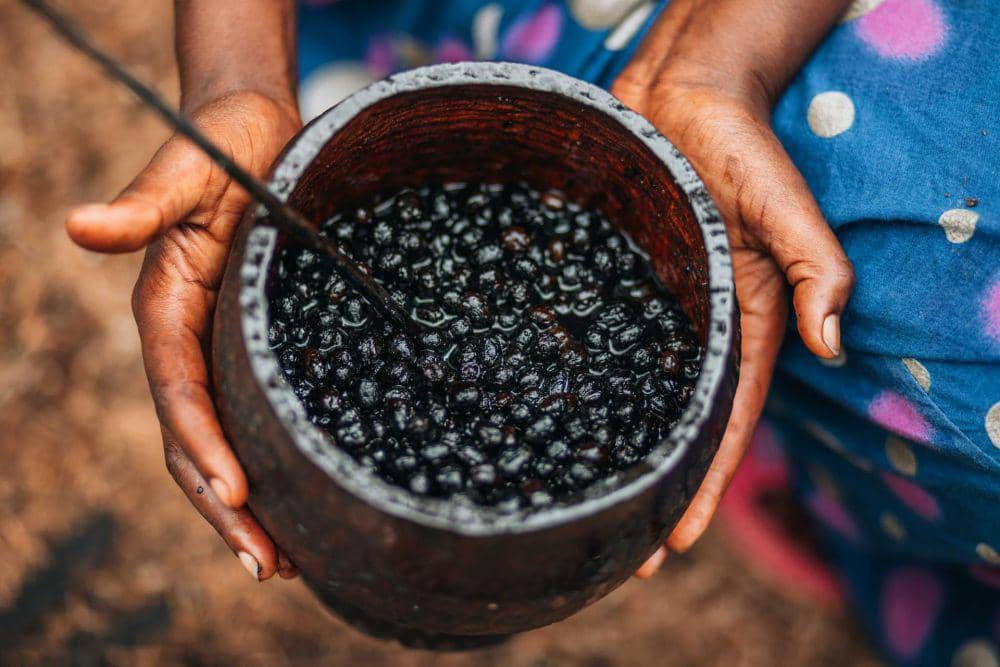 ilustrasi buah acai berry