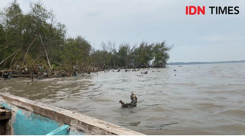 Abrasi HGB 656 Ha di Laut Sidoarjo Benar Terjadi, Tapi Sedikit