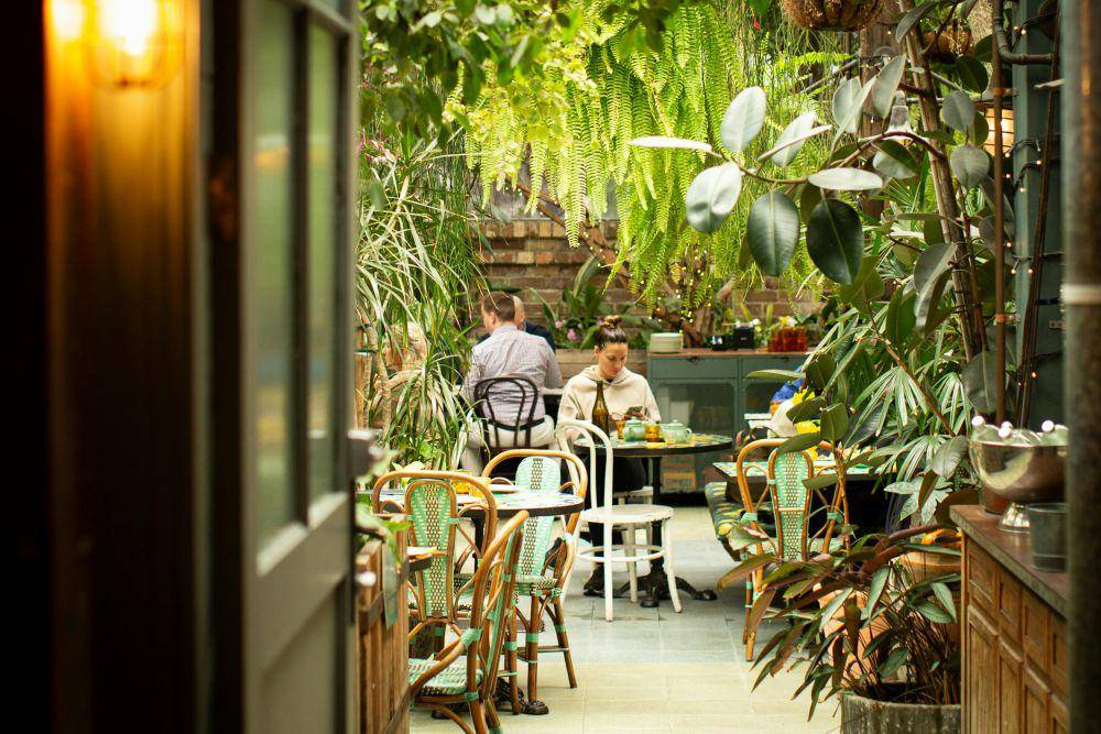 Ilustrasi nature cafe (freepik.com/katiebarget)