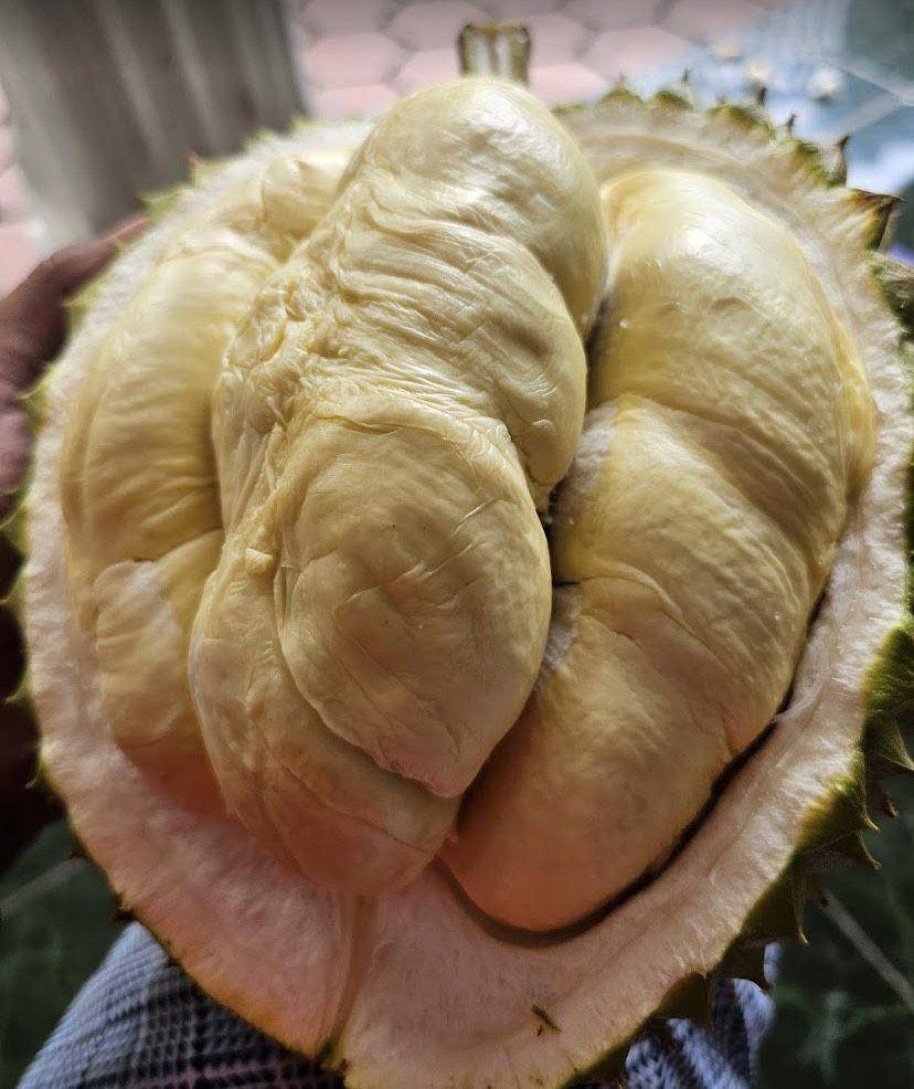 Griya Duren (google/com/maps/Dwi Nugroho)