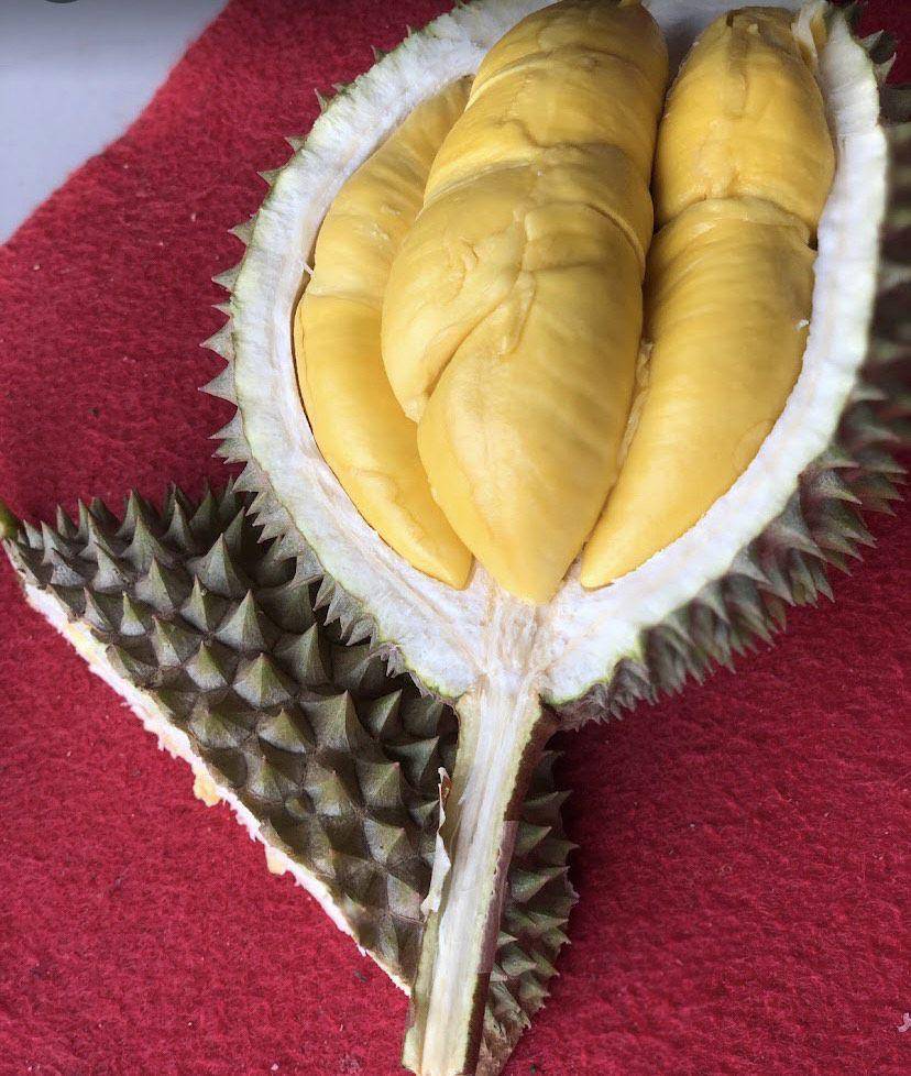 Rumah Durian Bu Marsiti (google.com/maps/Andri Ahmad)