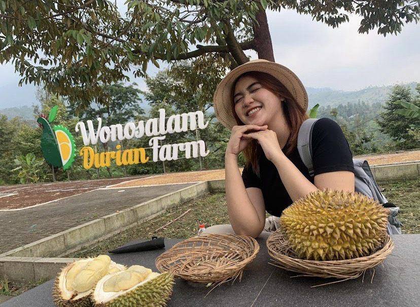 Wonosalam Durian Farm (google.com/maps/jalal jbg)