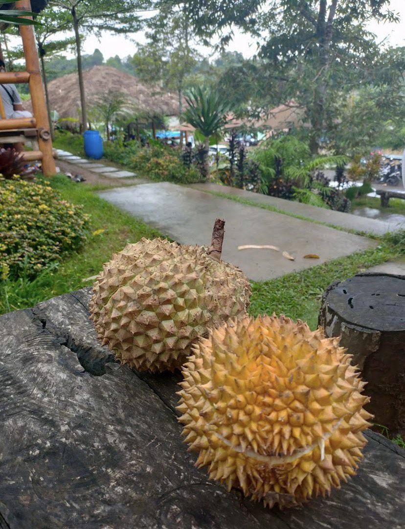 Waroeng Bukit Durian (google.com/maps/Rina Zulianti)