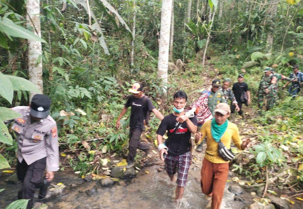 Penuh Luka Cabikan, Kondisi Jasad Petani Kopi Lambar Dimangsa Harimau