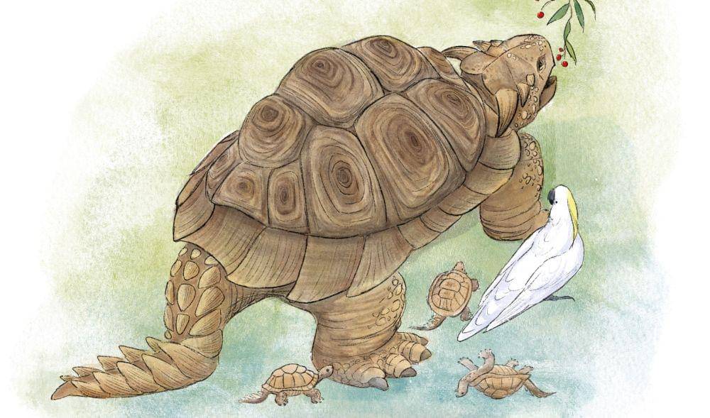 Rekonstruksi penampilan Meiolania (wikipedia.org/ARC CoE CABAH)