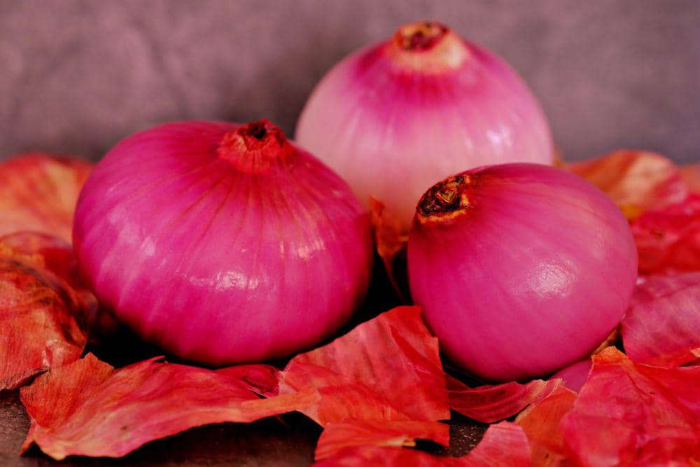 ilustrasi bawang merah utuh (pixabay.com/ignartonosbg)