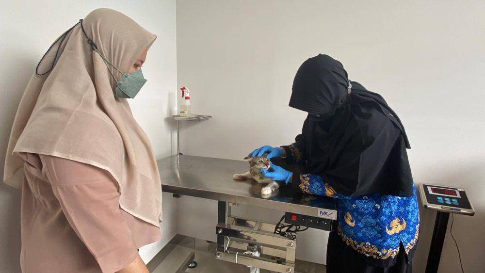 Seorang warga sedang memeriksakan hewan peliharaannya di klinik hewan milik Pemkot Semarang. (dok. Pemkot Semarang)