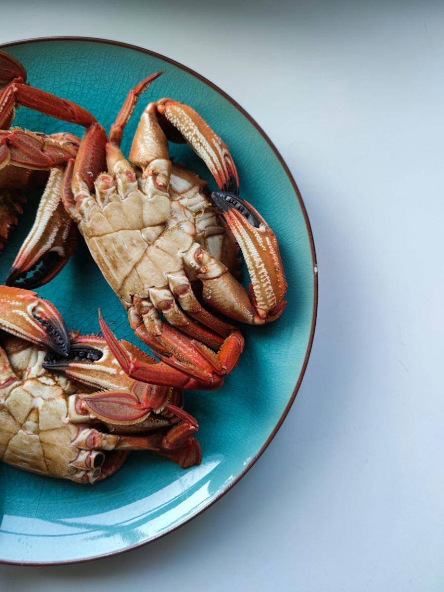 ilustrasi kepiting (unsplash.com/Mariana Suárez Recio)