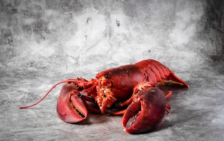 5 Seafood yang Tidak Boleh Disajikan saat Imlek, Apa Saja?