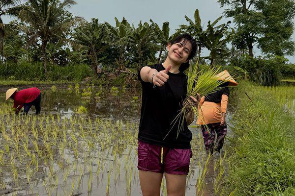 7 Potret Sintya Marisca Menanam Padi di Sawah, Awalnya Penasaran